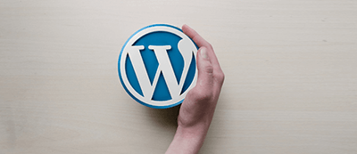 Top 13 Best Free WordPress Themes in The World (2023)
